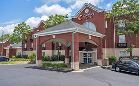 Comfort Inn Sumter